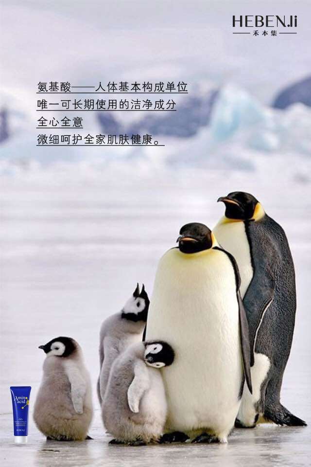 1451111865894971.png 3.png