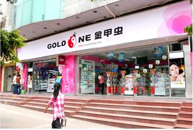 金甲虫.jpg