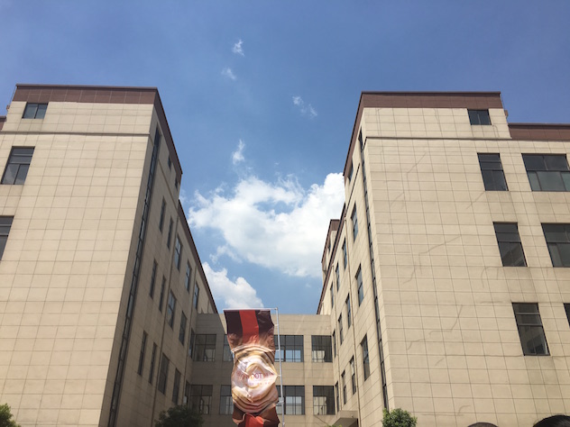1472625524720775.jpg 2彤颜新工厂大楼外侧.JPG