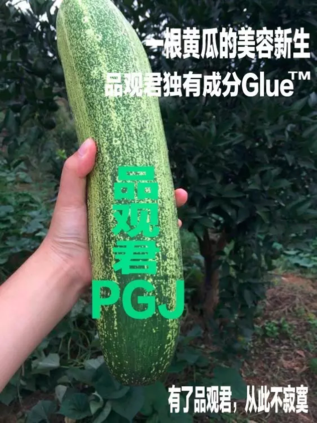 1481165305198867.jpg 未命名_副本.jpg