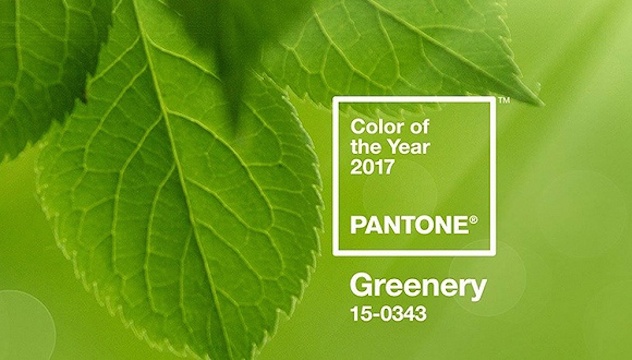 1481554634117571.jpg 148125054853260000_a580x330.jpg