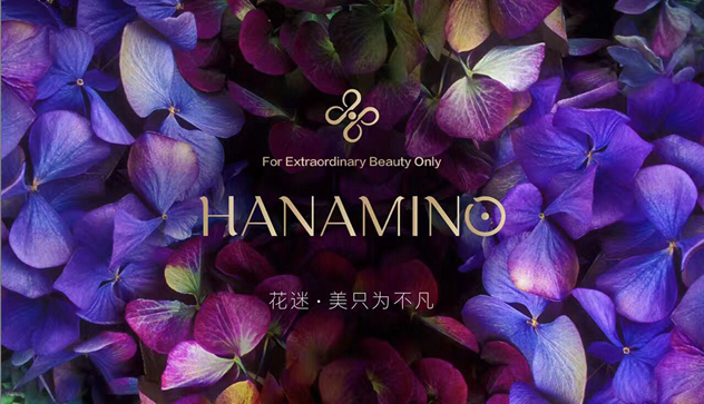 HANAMINO花迷彩妆