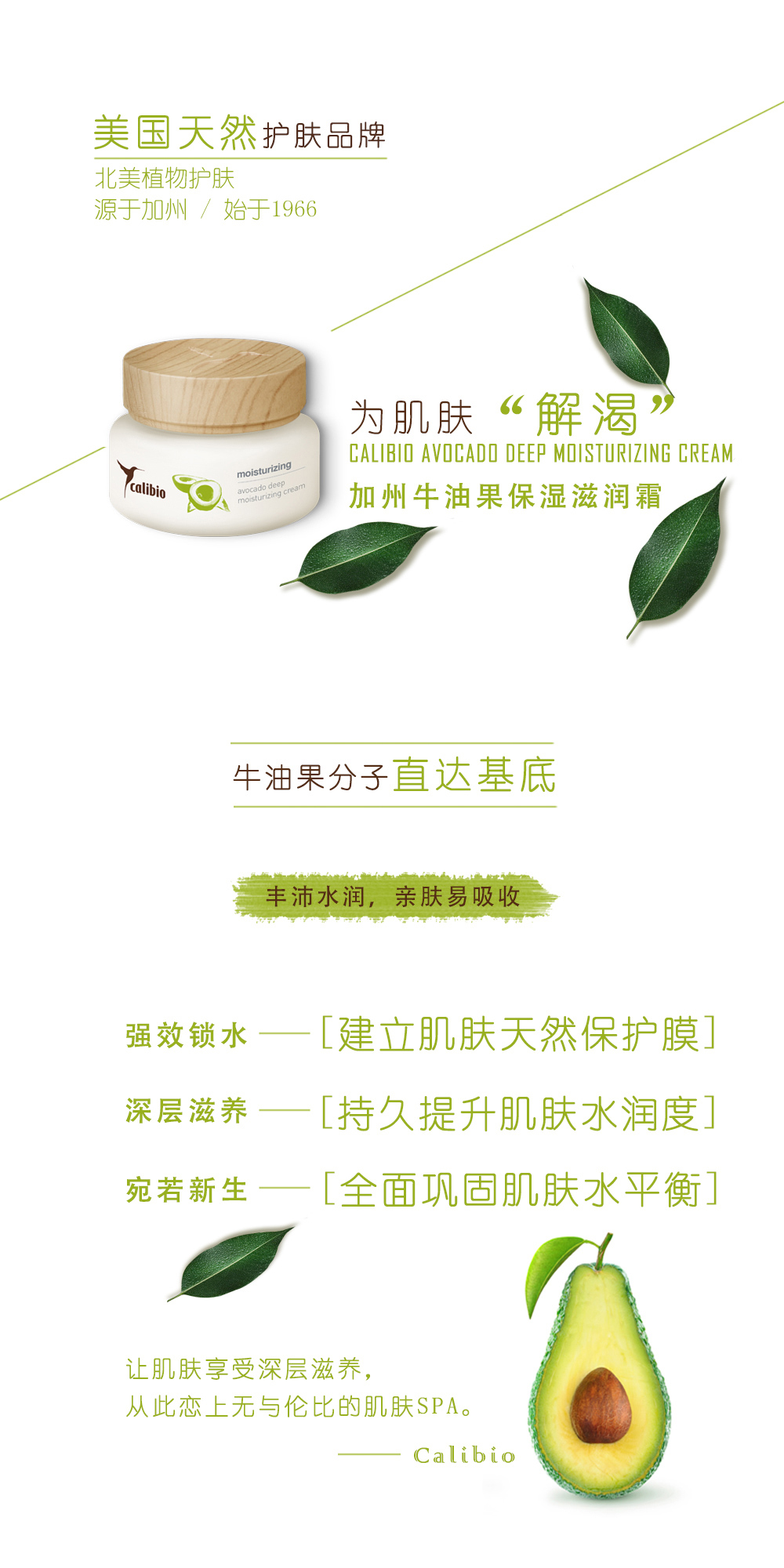 牛油果滋润霜详情页_01.jpg