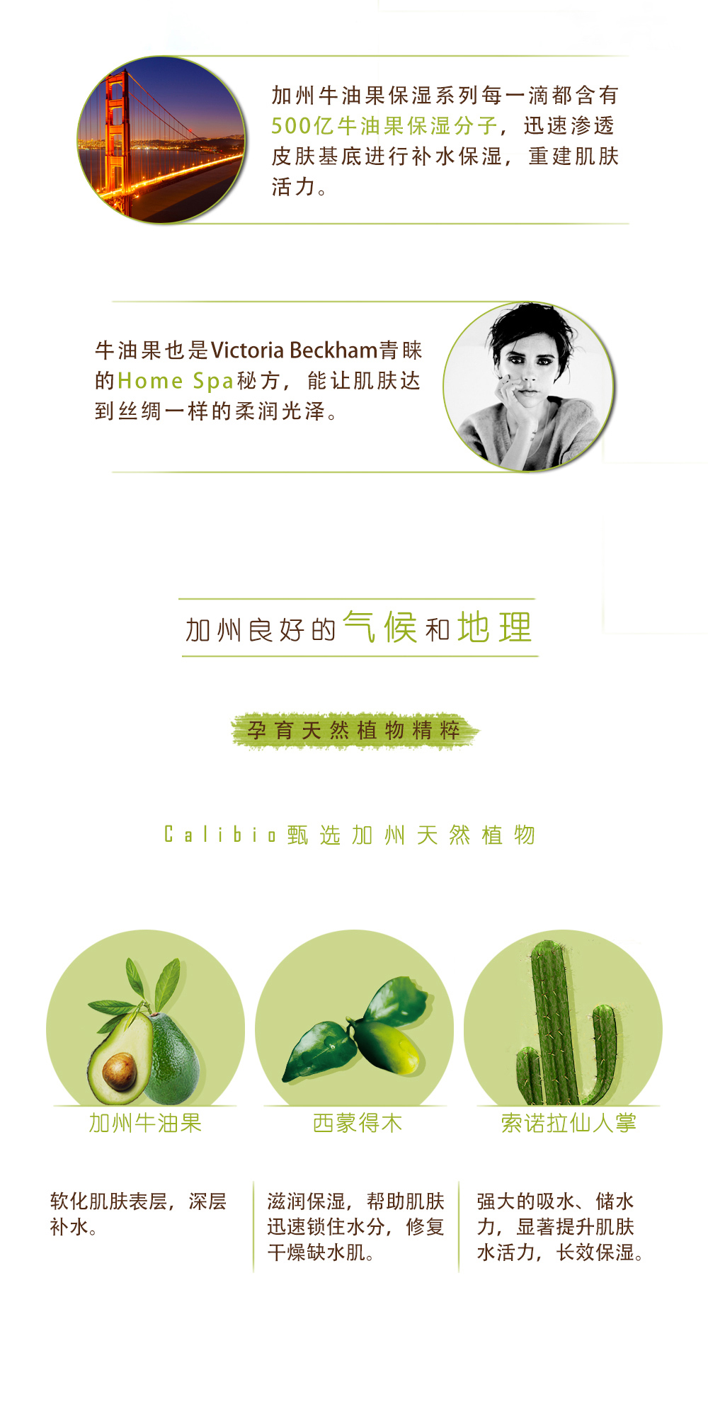牛油果滋润霜详情页_03.jpg