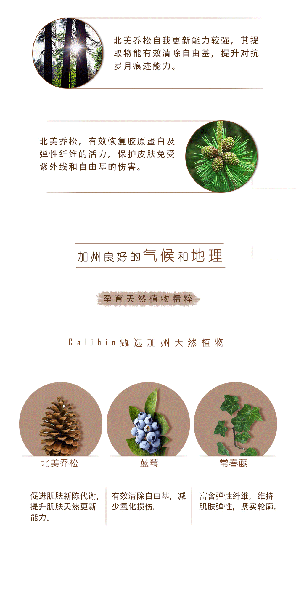 乔松精华液详情页_03.gif