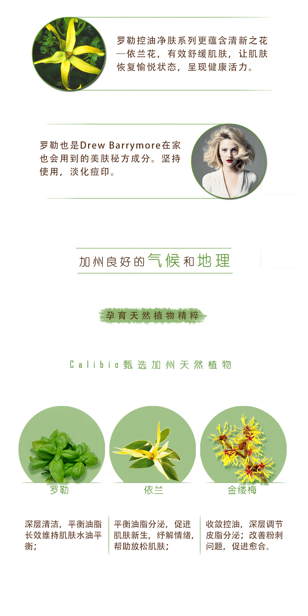 罗勒水详情页3.jpg