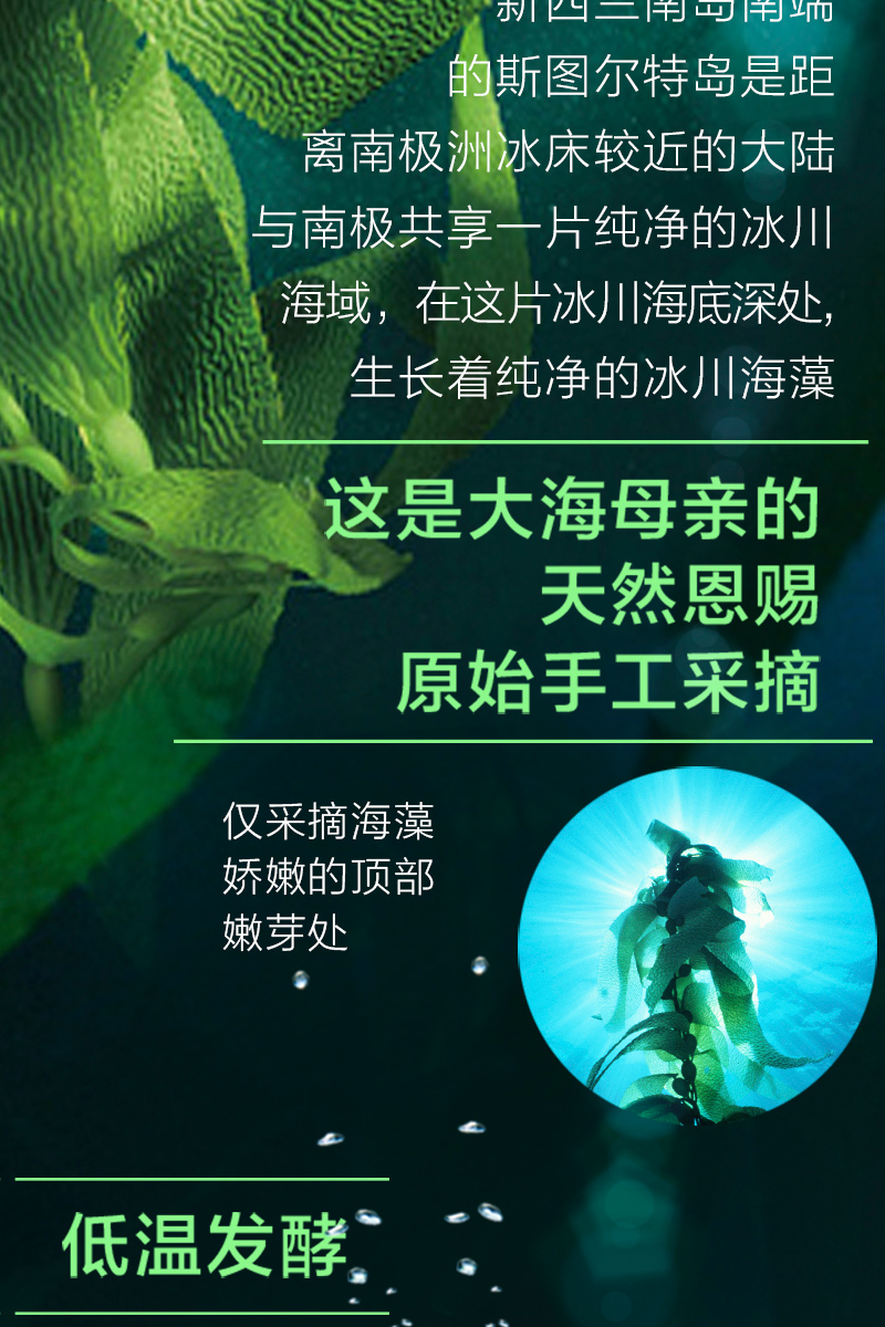 1498403344653475.jpg 海藻手霜_04.jpg