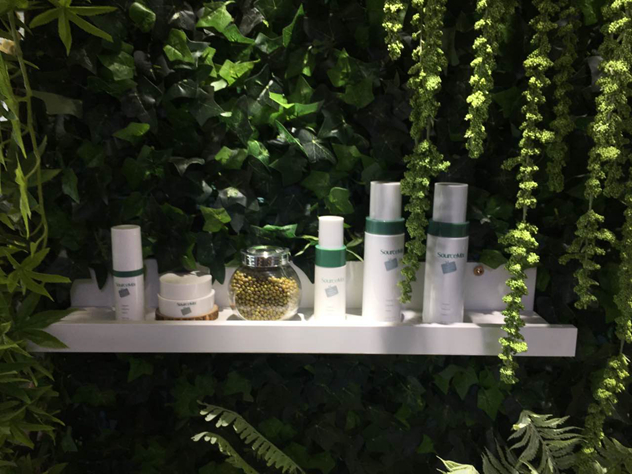 素丝蜜丝化妆品 素丝蜜丝化妆品
