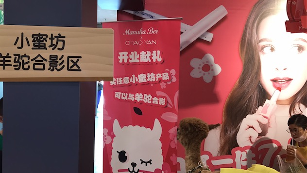 合影区.jpg