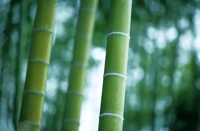 未命名_副本.jpg