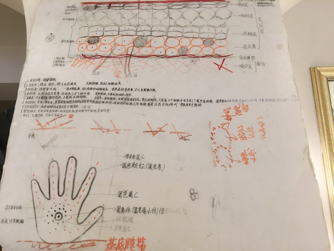 1509422757986084.jpg 护肤知识.JPG