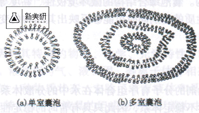 1512012779139712.png 囊泡1.png