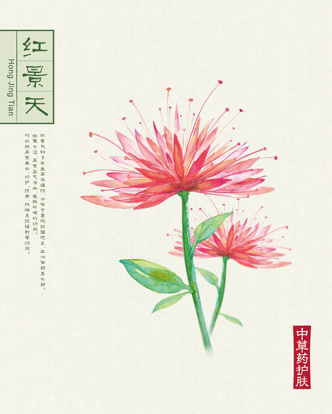 1512039802284442.jpg 本草背景(40.6X50.6)-053.jpg
