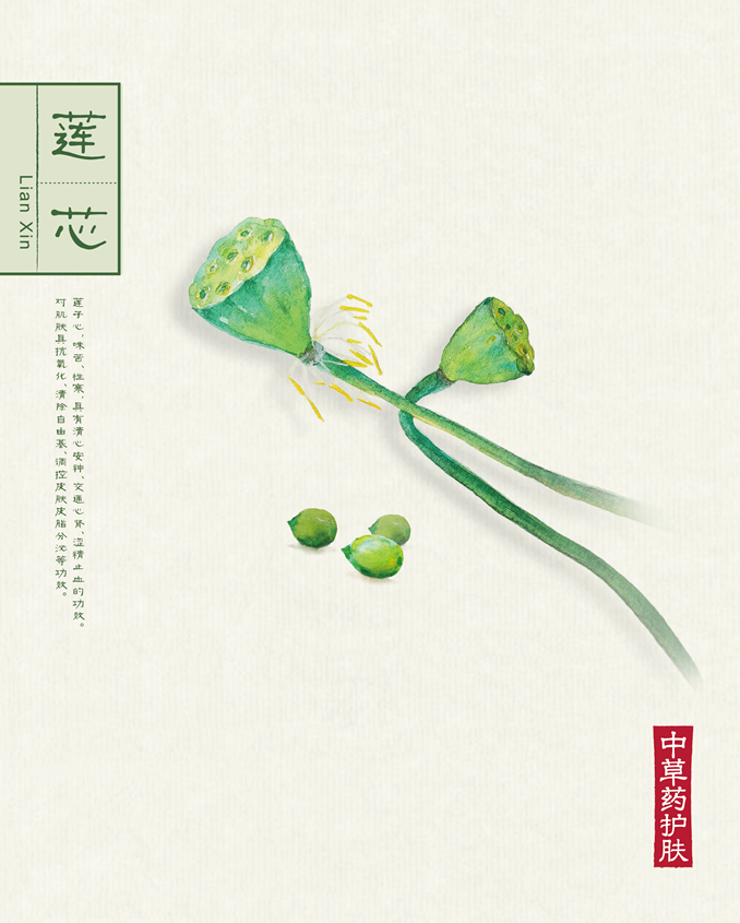 1512039814496967.jpg 本草背景(40.6X50.6)-075.jpg