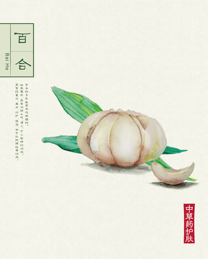 1512039828725287.jpg 本草背景(40.6X50.6)-064.jpg