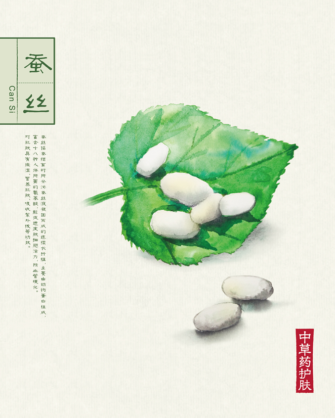 1512039839678861.jpg 本草背景(40.6X50.6)-086.jpg