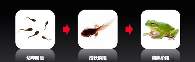 图三.jpeg