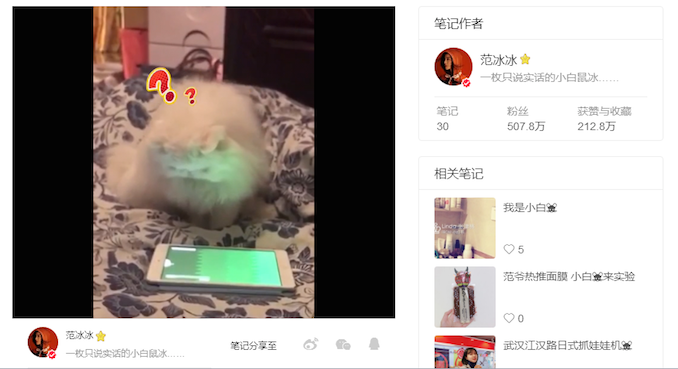 1519912187638803.png 范冰冰小红书1.png