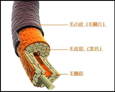 1520481485507289.jpg timg.jpg