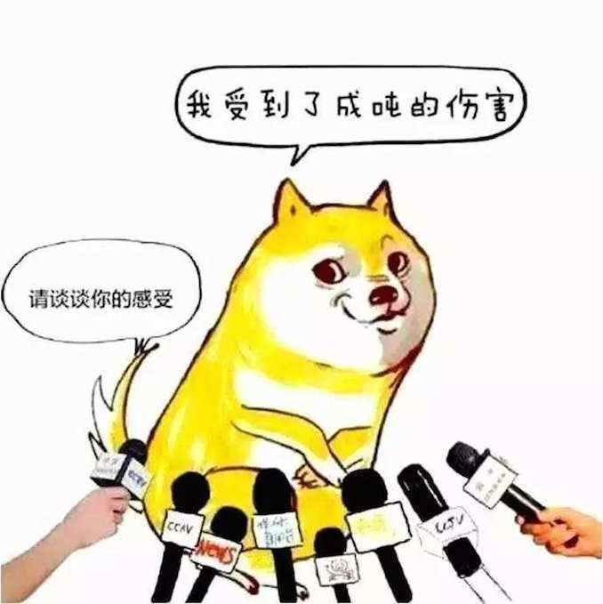 timg2.jpg