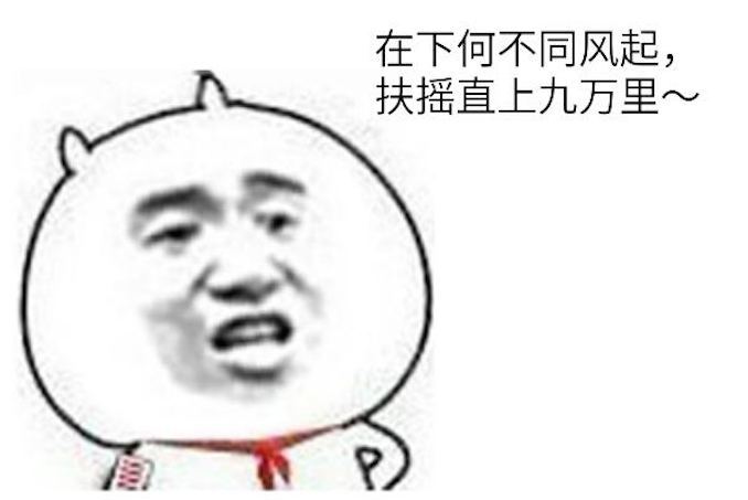 timg9.jpg