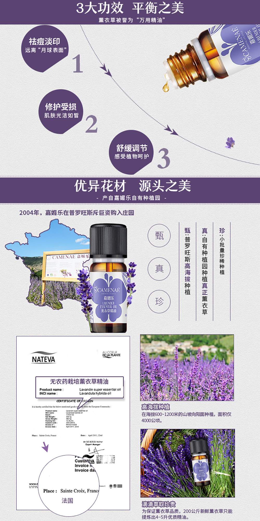 薰衣草详情_02.jpg