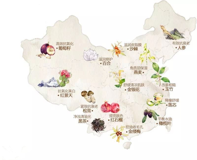 相宜本草严选道地药材 相宜本草严选道地药材
