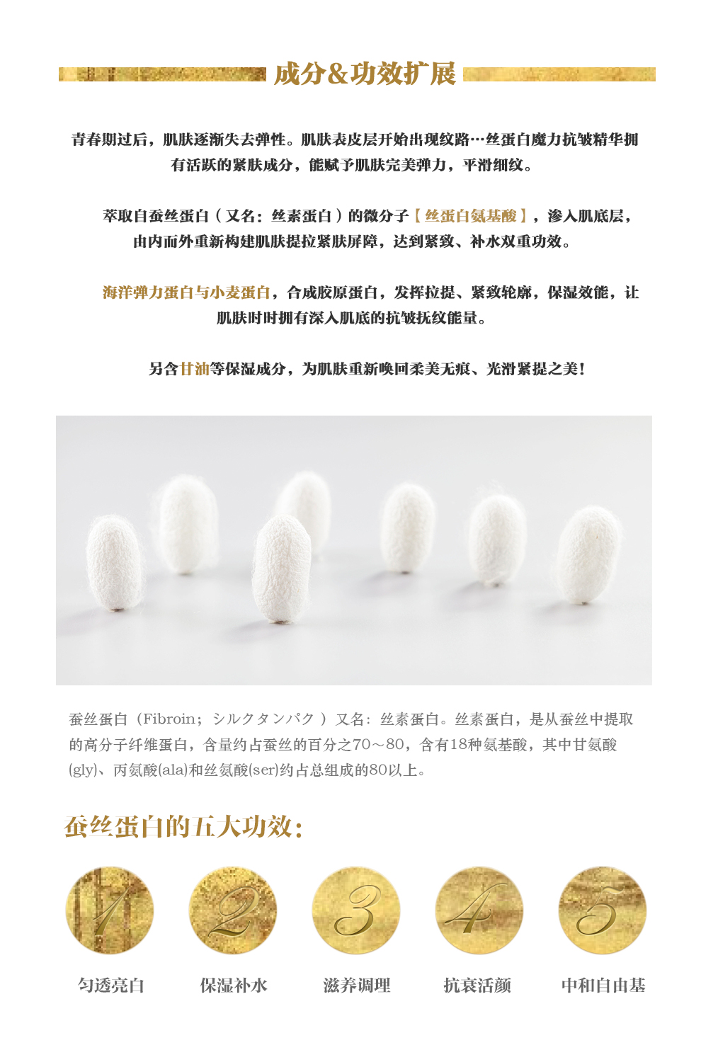精华2.jpg