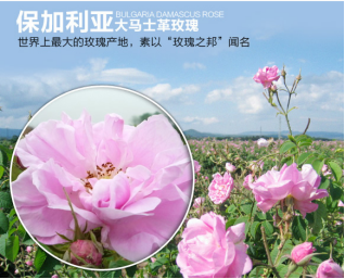 欧曼娜