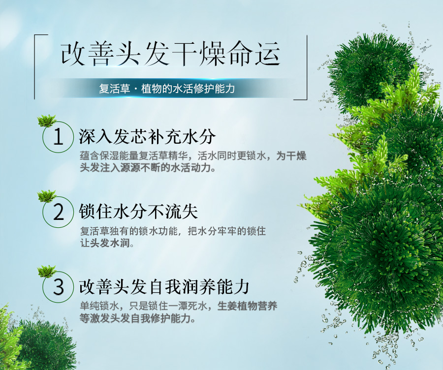 生姜6A_03.jpg