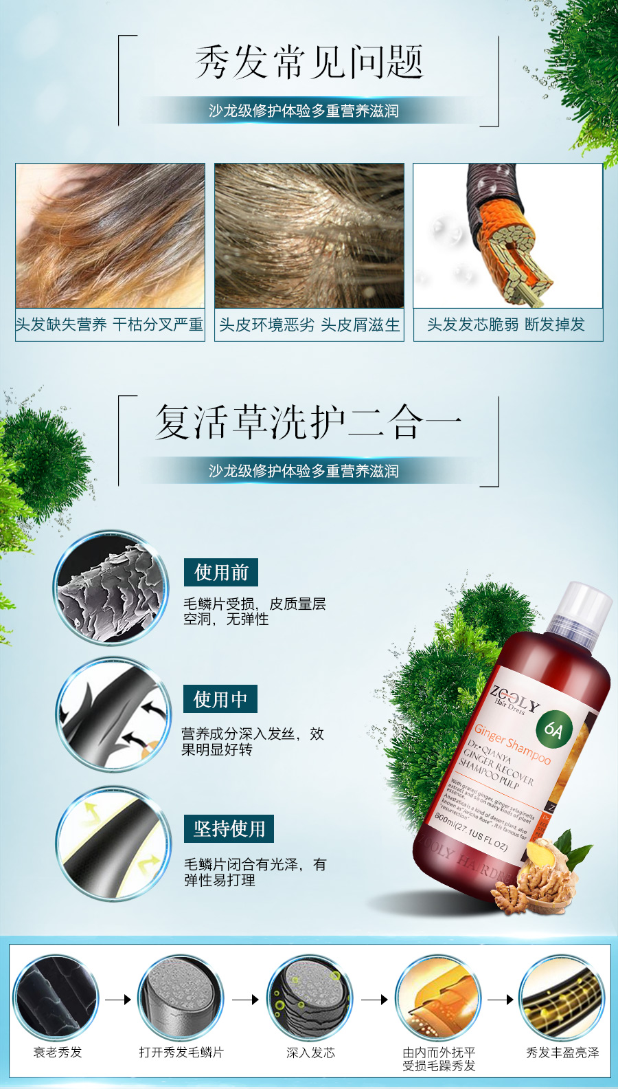 生姜6A_06.jpg