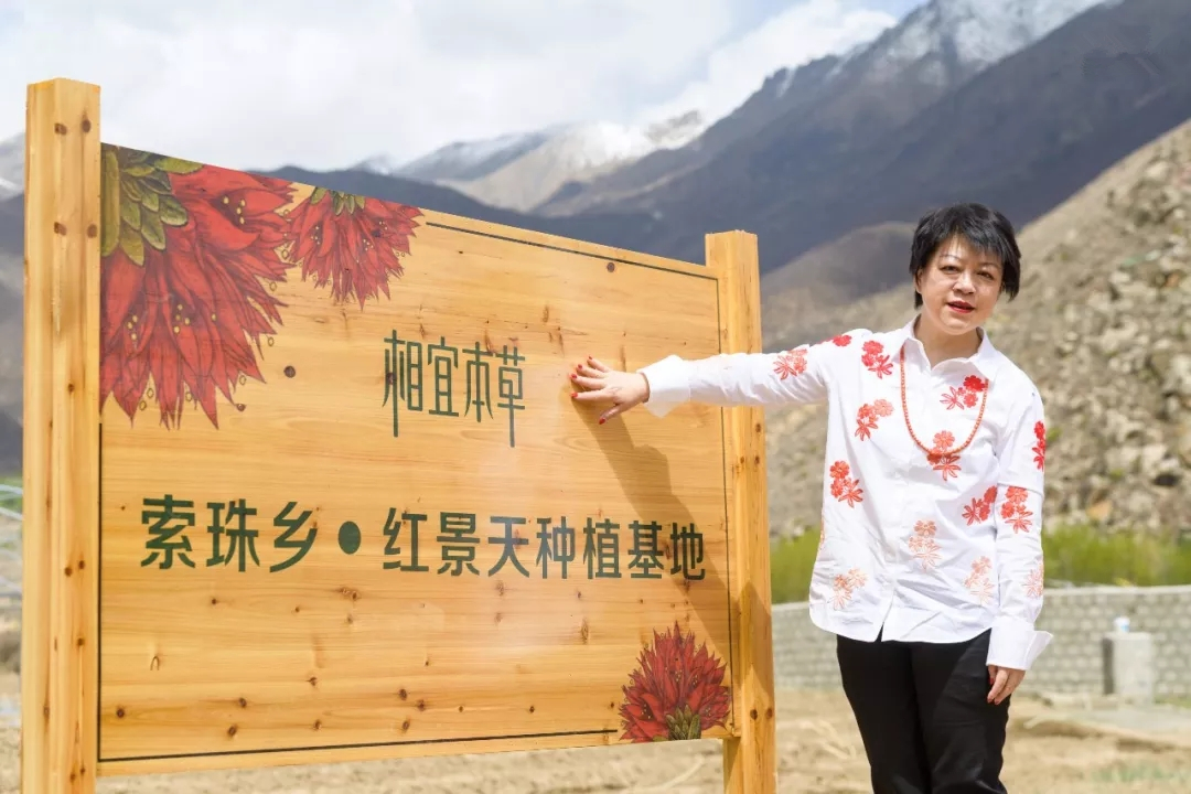 相宜本草红景天 相宜本草红景天