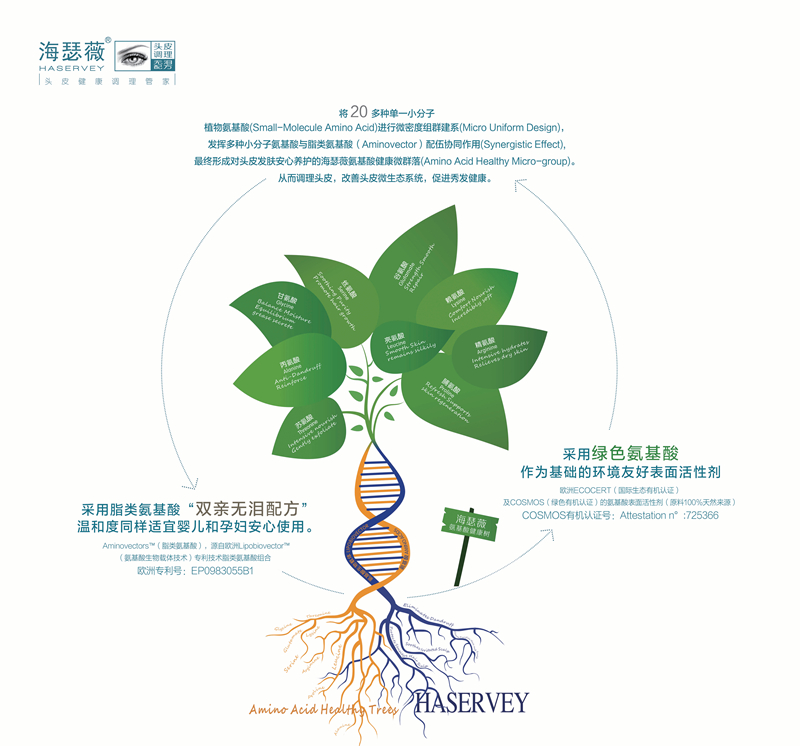 海瑟薇氨基酸洗护系列 海瑟薇氨基酸洗护系列