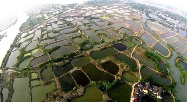 浙江湖州