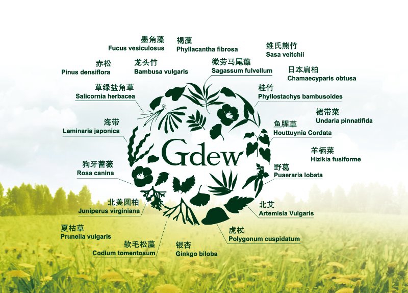 Gdew奇缔 Gdew奇缔