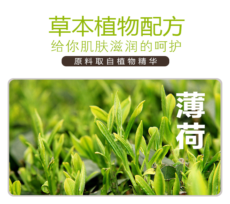 MT10-山回佛手柑迷迭香洗发液_04.jpg