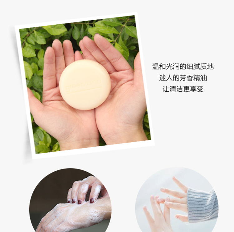 莱姆香草_02.jpg