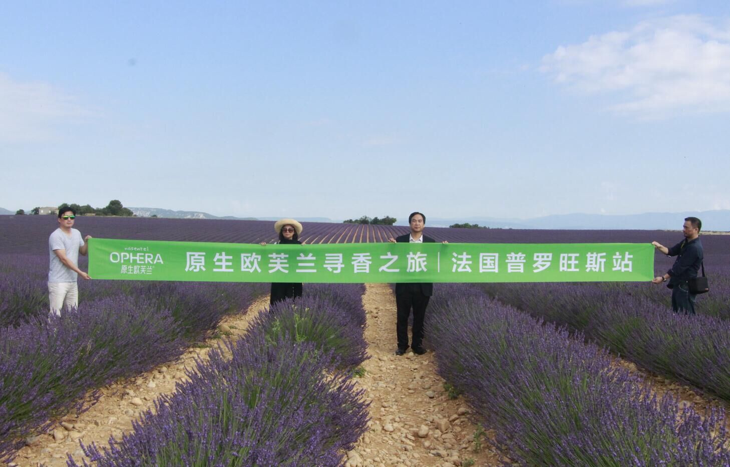 原生欧芙兰 原生欧芙兰
