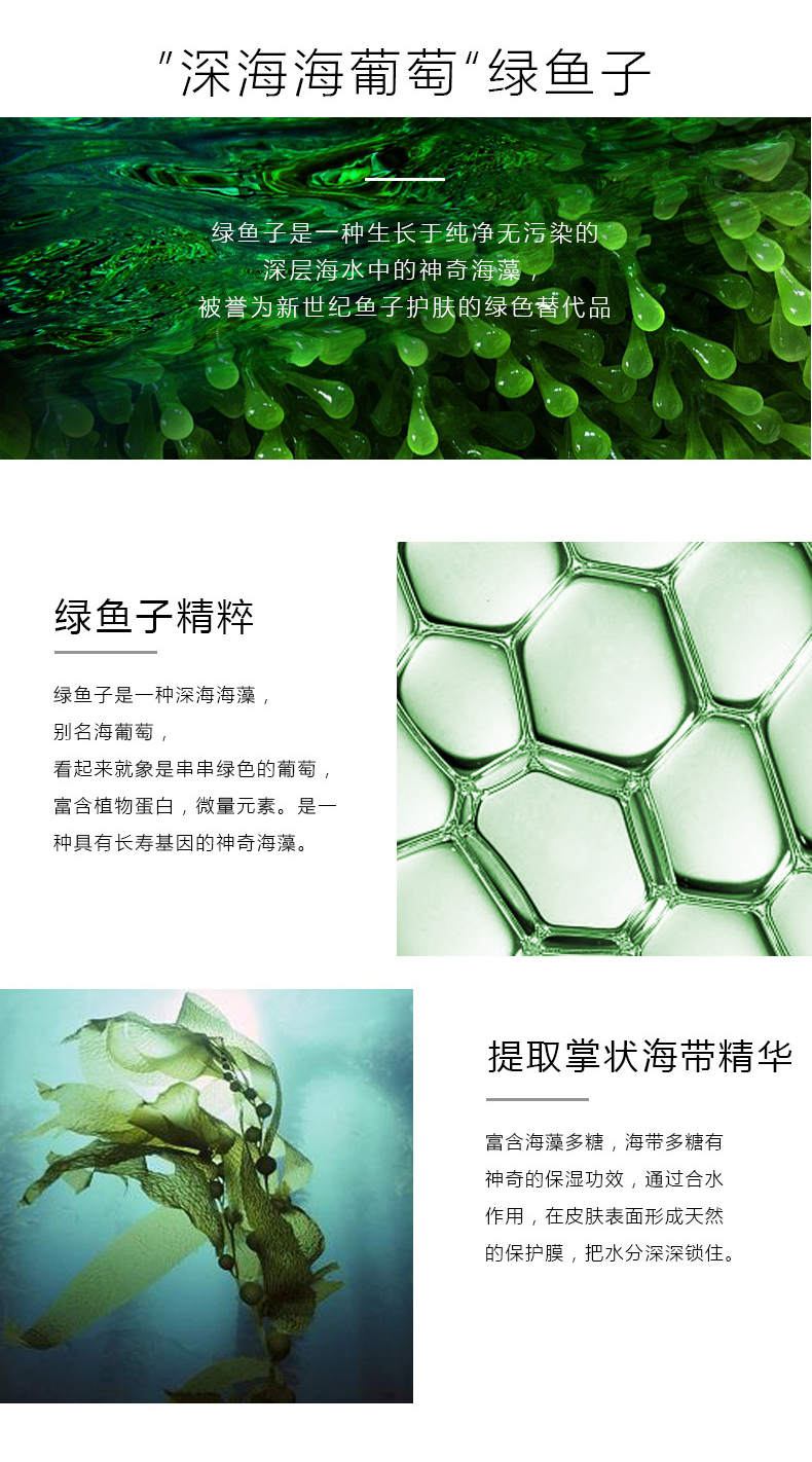 瑞斯美深海绿鱼子精华系列--保湿_02_05.jpg