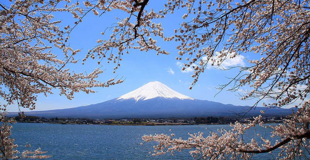 富士山