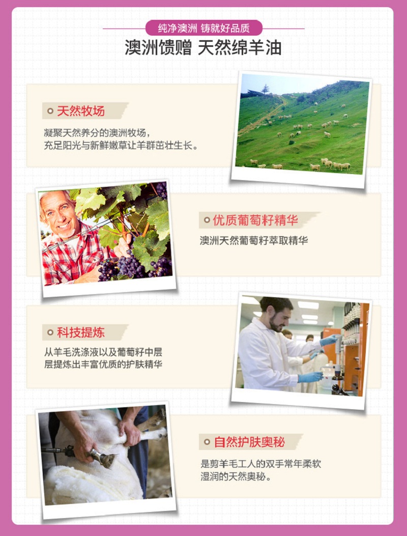 葡萄籽_04.jpg