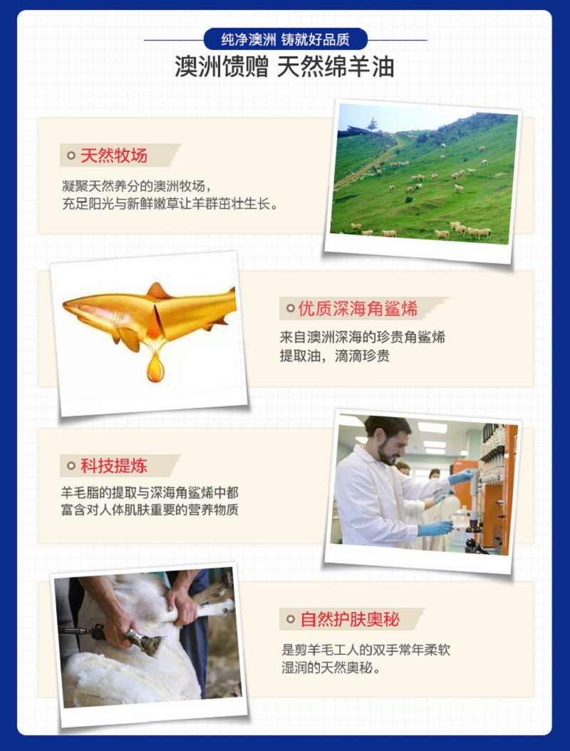 角鲨烯绵羊油_04.jpg