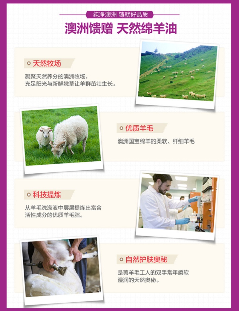 胶原蛋白绵羊油2_03.jpg