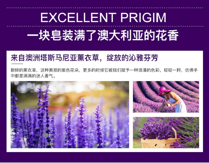 薰衣草-_03.jpg