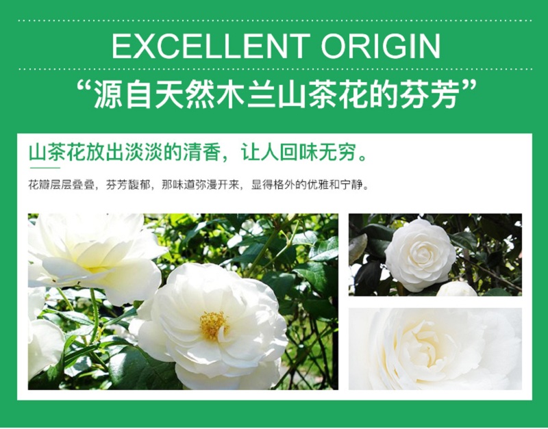 山茶花_03.jpg