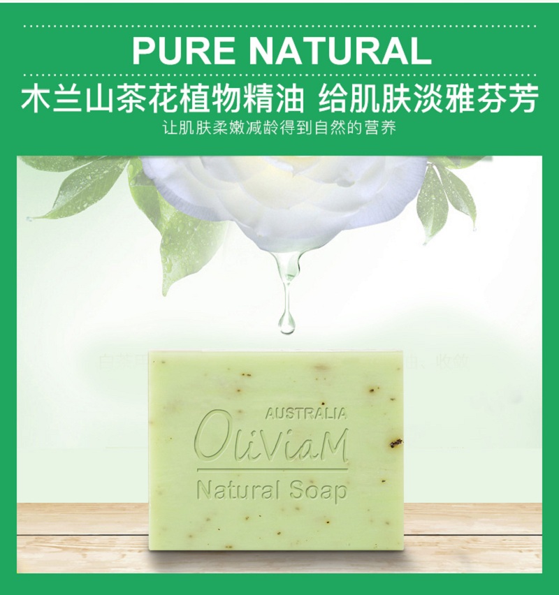 山茶花_05.jpg