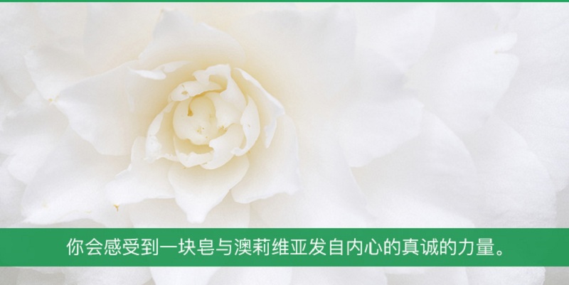 山茶花_06.jpg