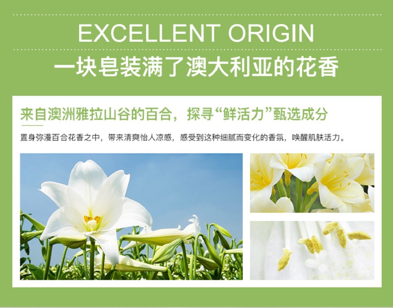 百合花_03.jpg