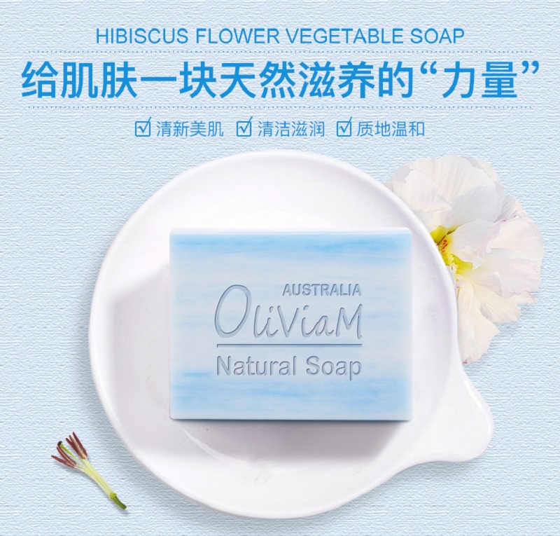 芙蓉花_01.jpg