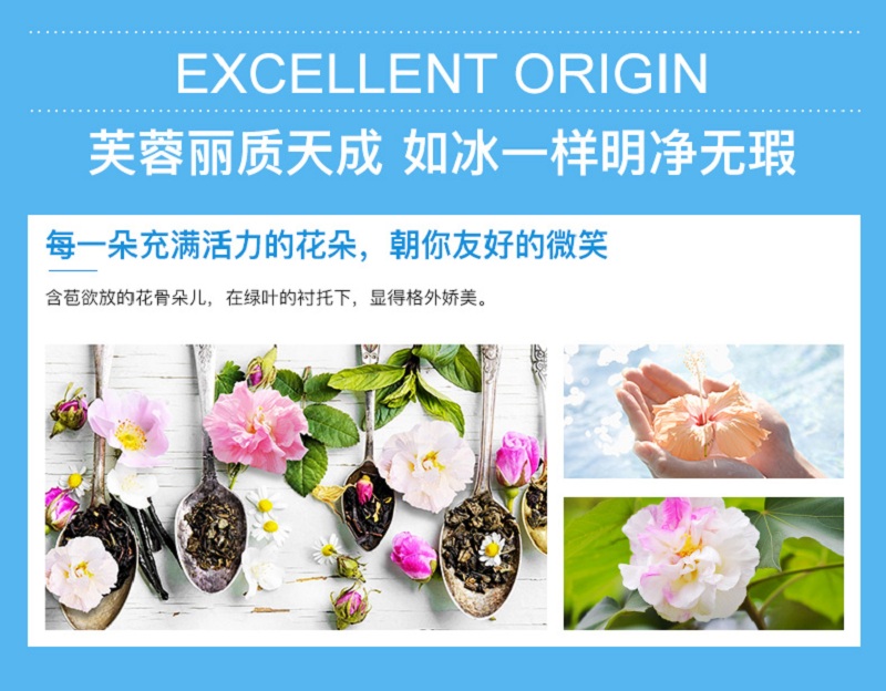 芙蓉花_03.jpg